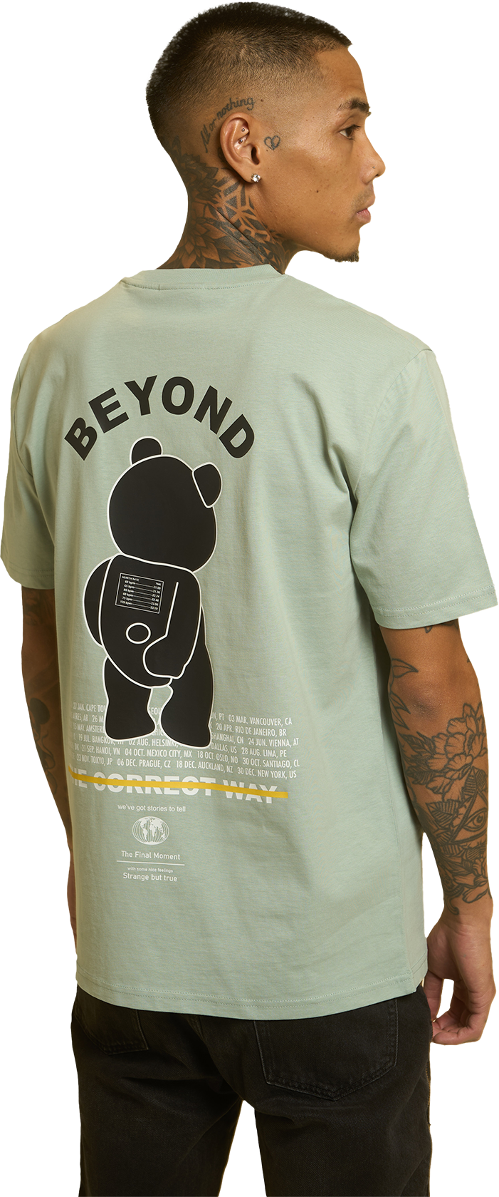 Camiseta Regular The correct way