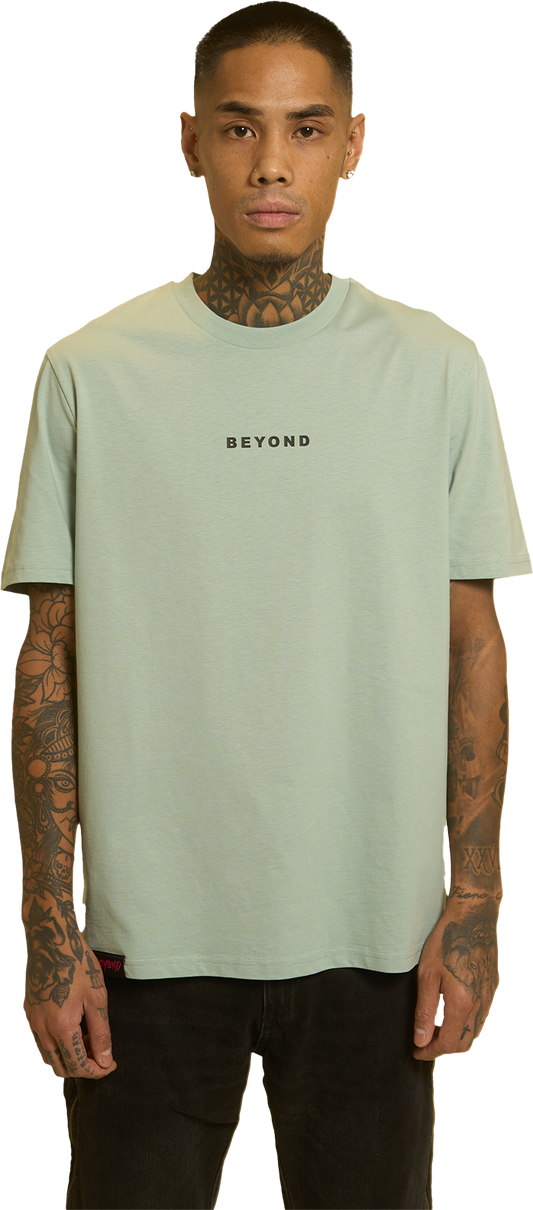 Camiseta Regular The correct way